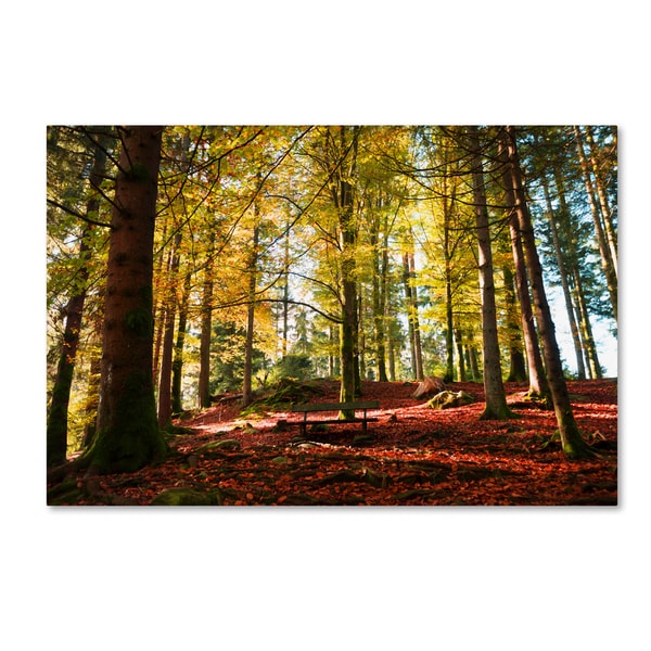 Philippe Sainte-Laudy 'The Autumn Bench' Canvas Art - Overstock - 10459457