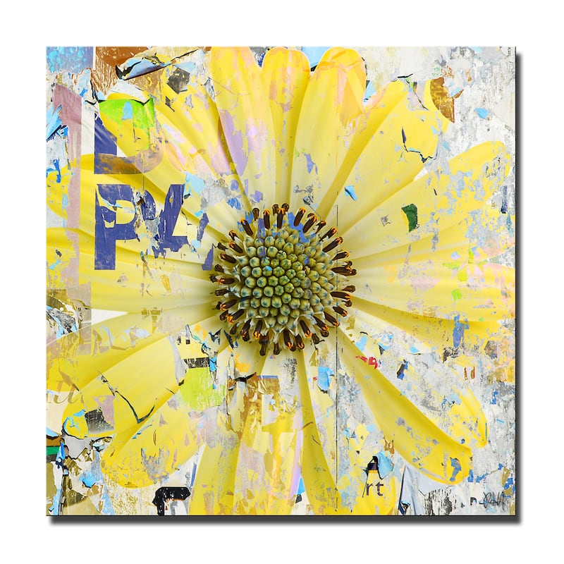 Ready2HangArt 'Painted Petals LXIX' Floral Canvas Wall Art
