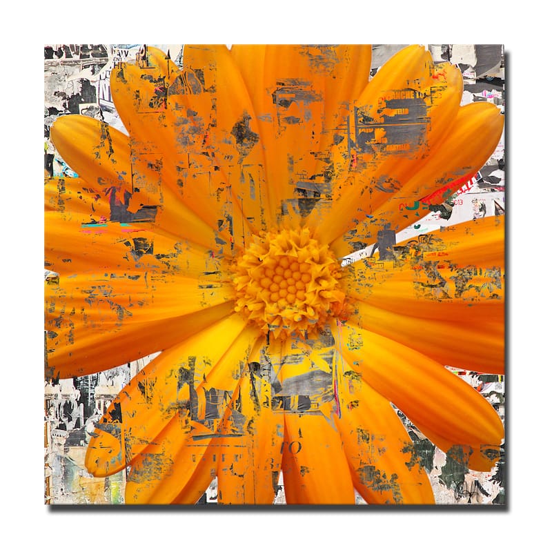 Ready2HangArt 'Painted Petals LXXVIII' Floral Canvas Wall Art