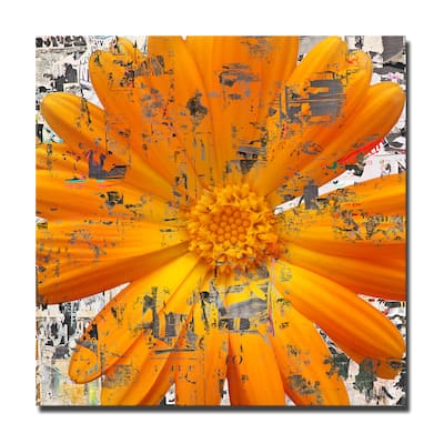 Ready2HangArt 'Painted Petals LXXVIII' Floral Canvas Wall Art