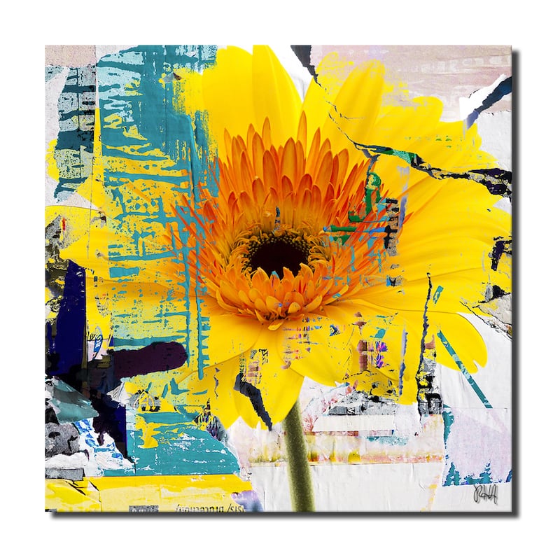 Ready2HangArt 'Painted Petals LXXXIII' Canvas Wall Art