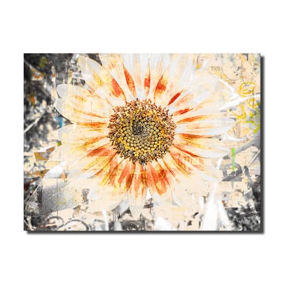 Ready2HangArt 'Painted Petals XC' Floral Canvas Wall Art