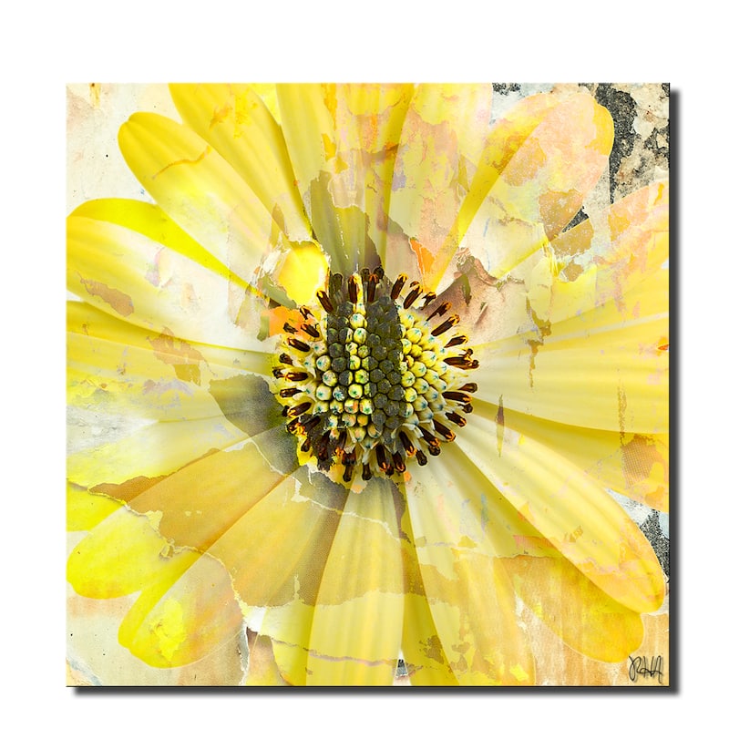 Ready2HangArt 'Painted Petals XCV' Floral Canvas Wall Art