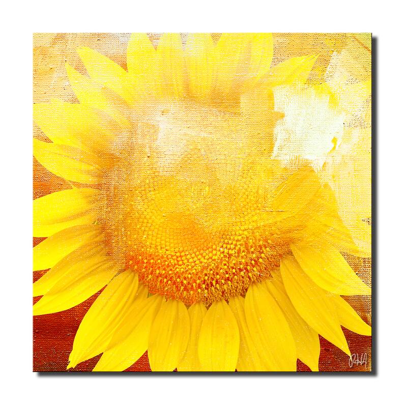 Ready2HangArt 'Painted Petals XCVIII' Floral Canvas Wall Art