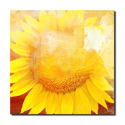 Ready2HangArt 'Painted Petals XCVIII' Floral Canvas Wall Art