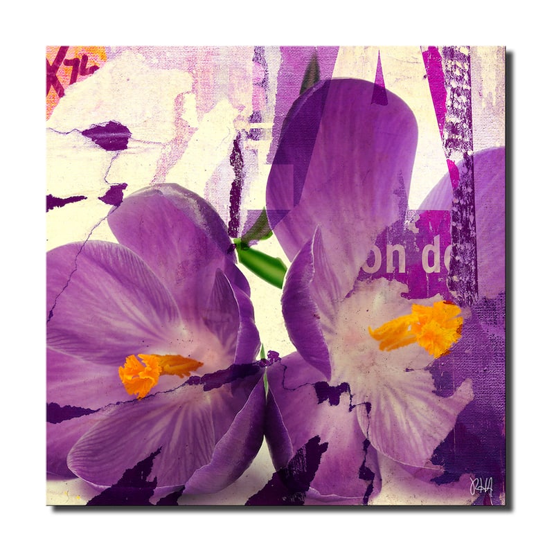 Ready2HangArt 'Painted Petals C' Floral Canvas Wall Art