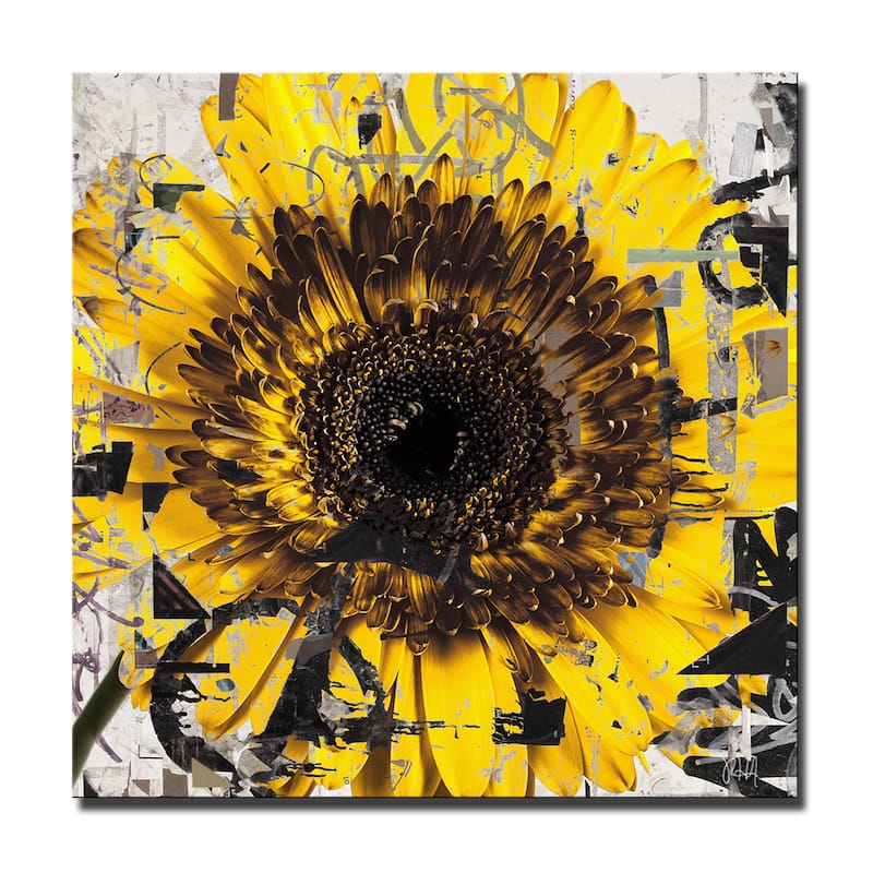 Ready2HangArt 'Painted Petals CIII' Floral Canvas Wall Art