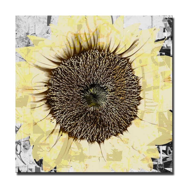 Ready2HangArt 'Painted Petals CIV' Floral Canvas Wall Art