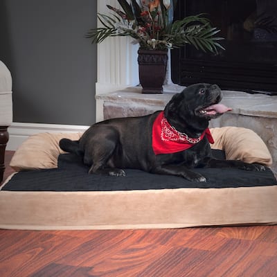 PAW Orthopedic Memory & Orthopedic 5" Foam Pet Bed with Bolster