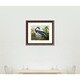 Framed Art Print 'Louisiana Heron, from 'Birds of America', engraved by ...