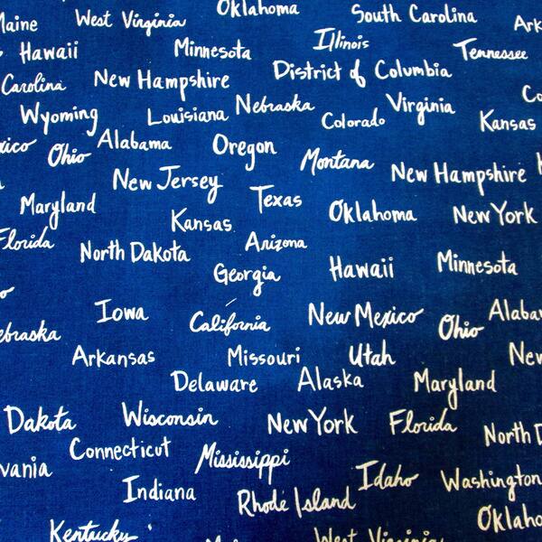 https://ak1.ostkcdn.com/images/products/10473765/Artisan-Pillows-20-inch-All-the-United-States-Canvas-in-Navy-Blue-Modern-Accent-Throw-Pillow-Cover-2f395351-59c5-4109-8dbc-915b3abd20aa_600.jpg?impolicy=medium