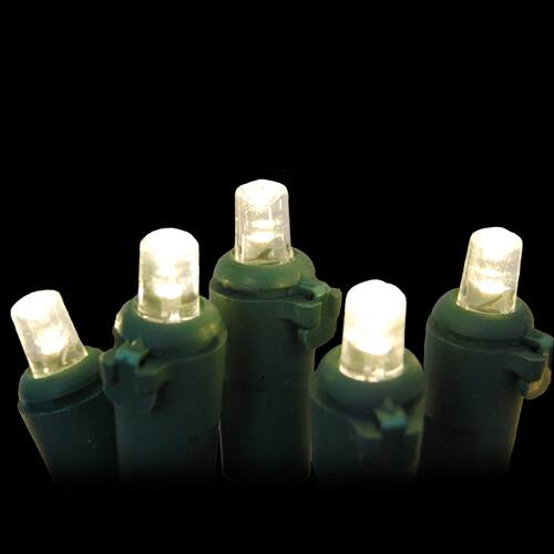 Electric LED String Lights with 70 Warm White Lights