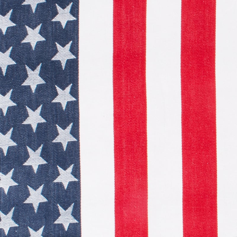 Red and Blue Check Tablecloth