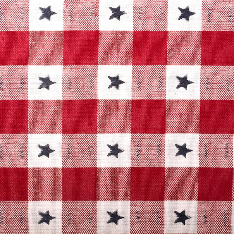 Red and Blue Check Tablecloth