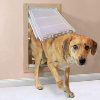 Shop Endura Flap Double Flap Pet Door For Walls Free