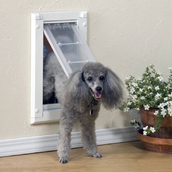 Shop Endura Flap Single Flap Pet Door For Walls Free Shipping