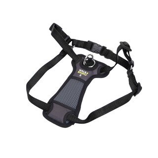 pittsburgh steelers dog harness