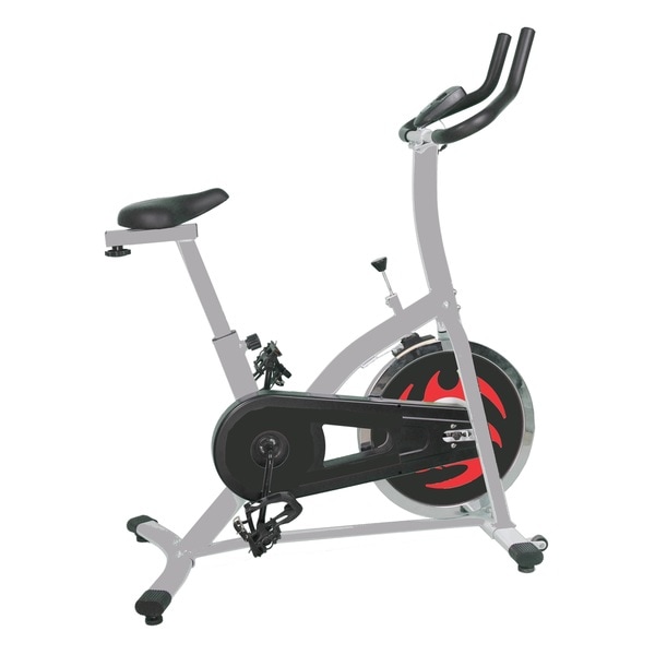 overstock exercise bike