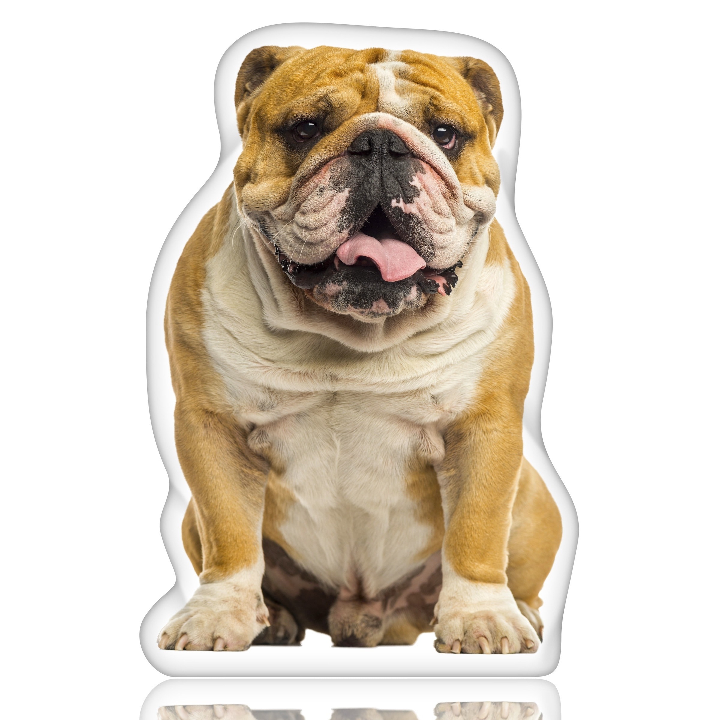 british bulldog pillow