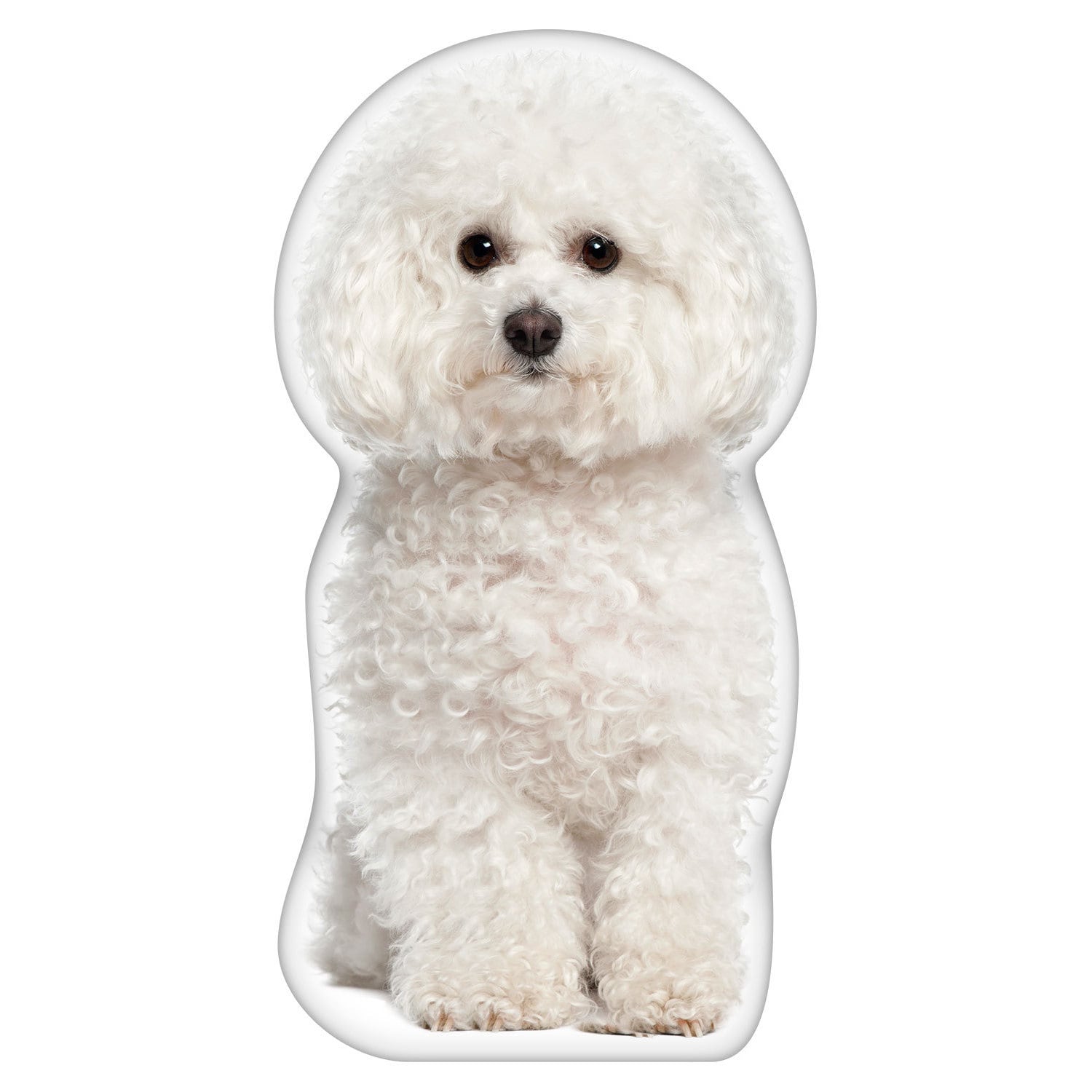 bichon pillow