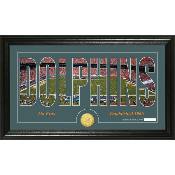 Miami Dolphins 'Silhouette' Bronze Coin Panoramic Photo Mint