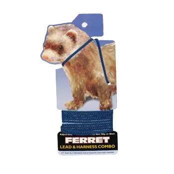 ferret leash and harness