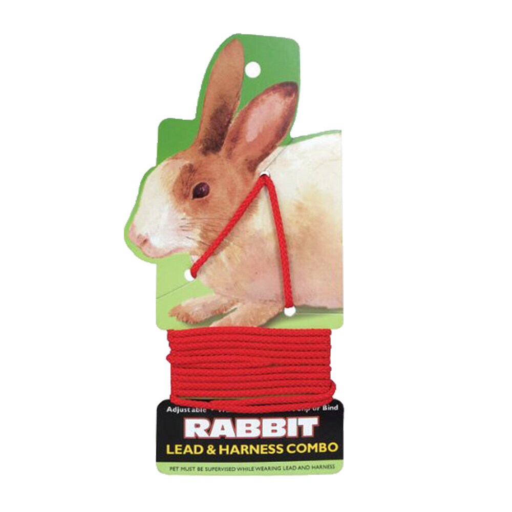 rabbit lead and harness