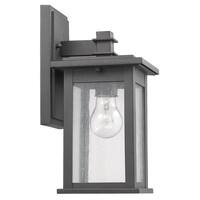Chloe Transitional 1-light Black Outdoor Wall Lantern