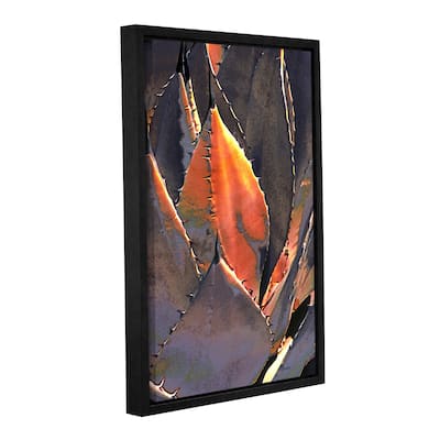 ArtWall Linda Parker 'Agave Sunset' Gallery-wrapped Floater-framed Canvas