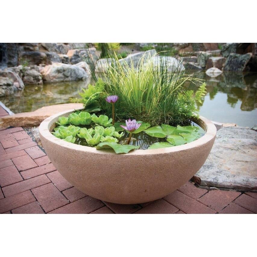Patio Water Garden Planter