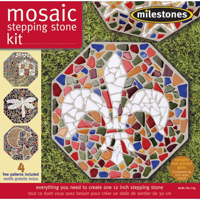 Mosaic Stepping Stone Kit