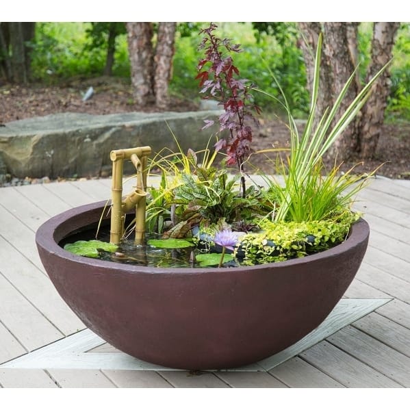 Patio Water Garden Planter