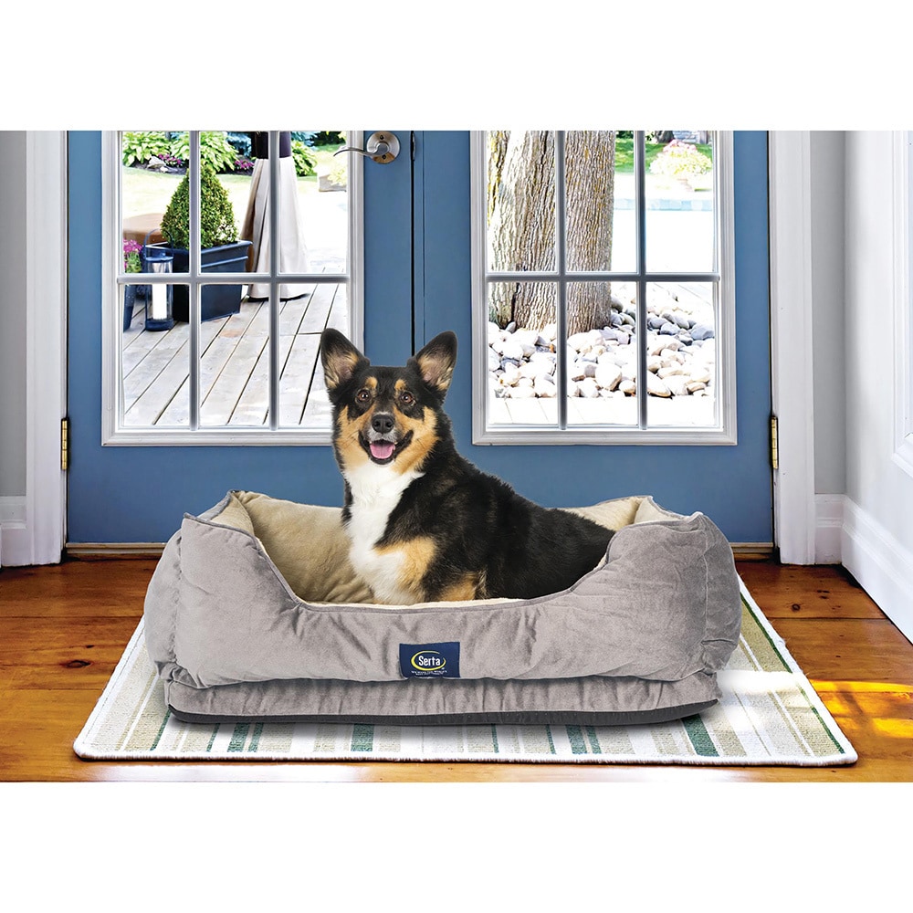 Serta ortho hotsell foam pet bed