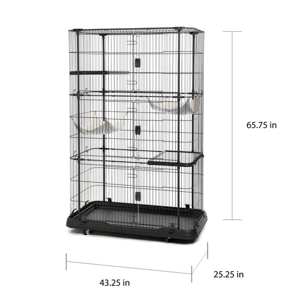 step up puppy food review