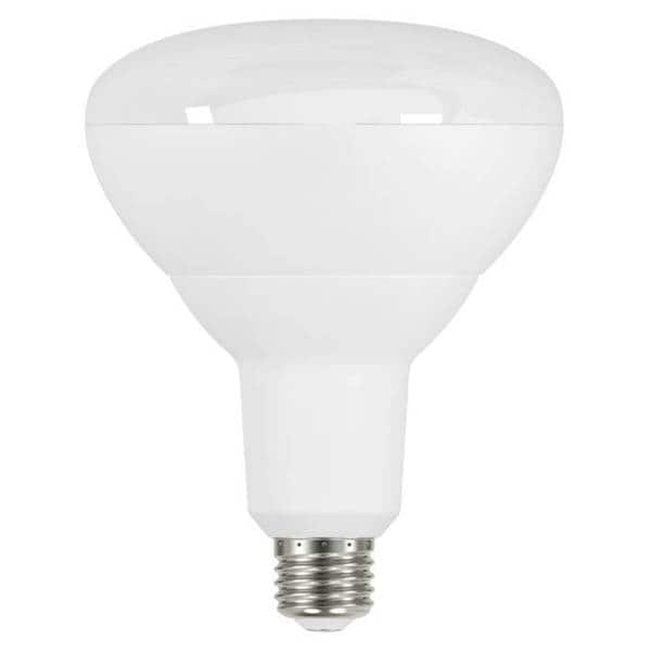 100 watt led flood deals light bulb