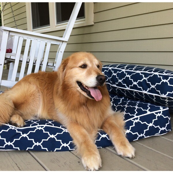 Shop Snoozer Garden Gate Navy Rectangular Pet Bed Free Shipping Today