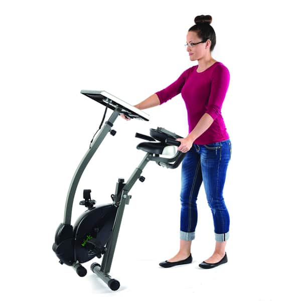 Shop Wirk Ride Cycling Workstation Desk Silver Free Shipping