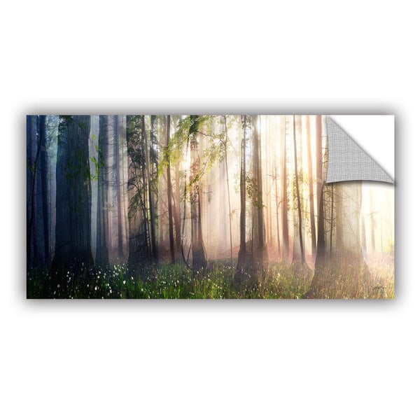 ArtWall Philip Straub  The Arrival  Art Appealz Removable Wall Art