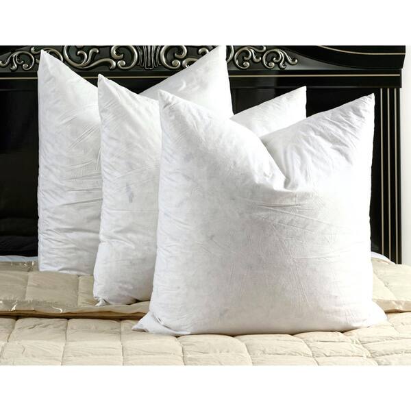Shop White Goose Feather And Down Euro Square Pillow Set Of 2