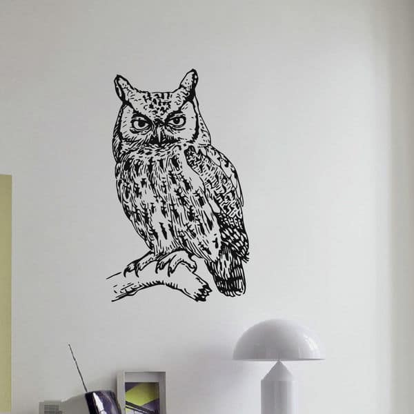 Cute curious art Mysterious Owl vinyl wall stickers door window furniture decal