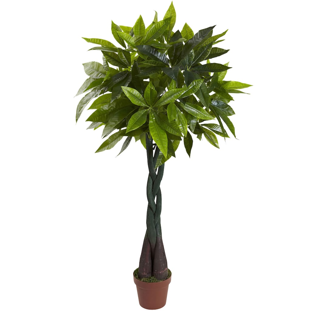 4-foot Money Plant (Real Touch)