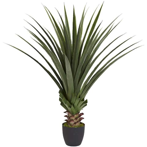 4-foot Spiked Agave Plant - Green