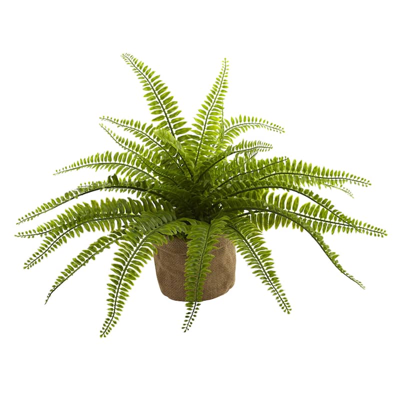 Boston Fern w/Burlap Planter (Set of 2)