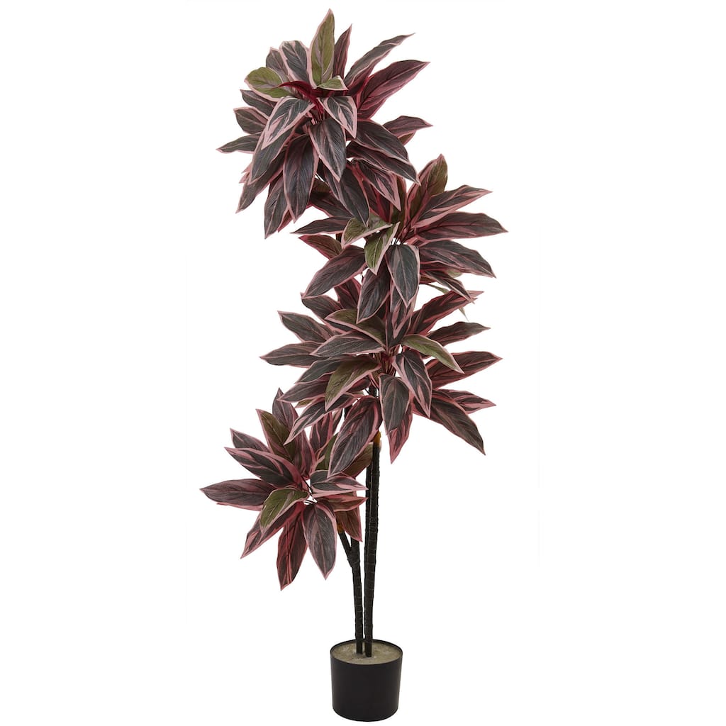 54-inch Caladium Silk Plant