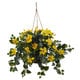 preview thumbnail 1 of 2, Hibiscus Hanging Basket - Yellow Yellow