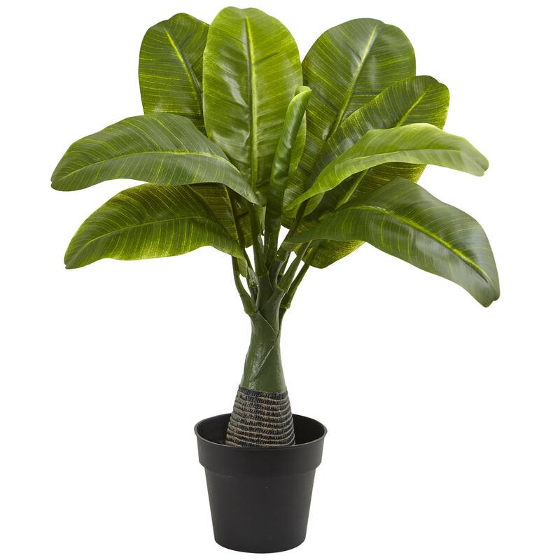 Areca, Fountain & Banana Palm (Set of 3) - Green