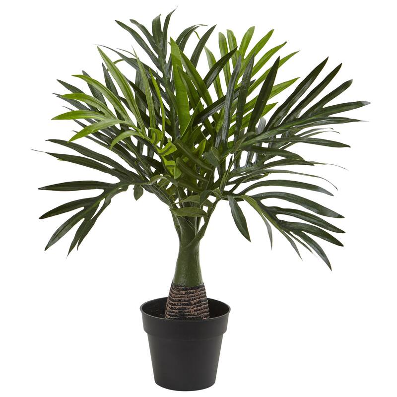 Areca, Fountain & Banana Palm (Set of 3) - Green
