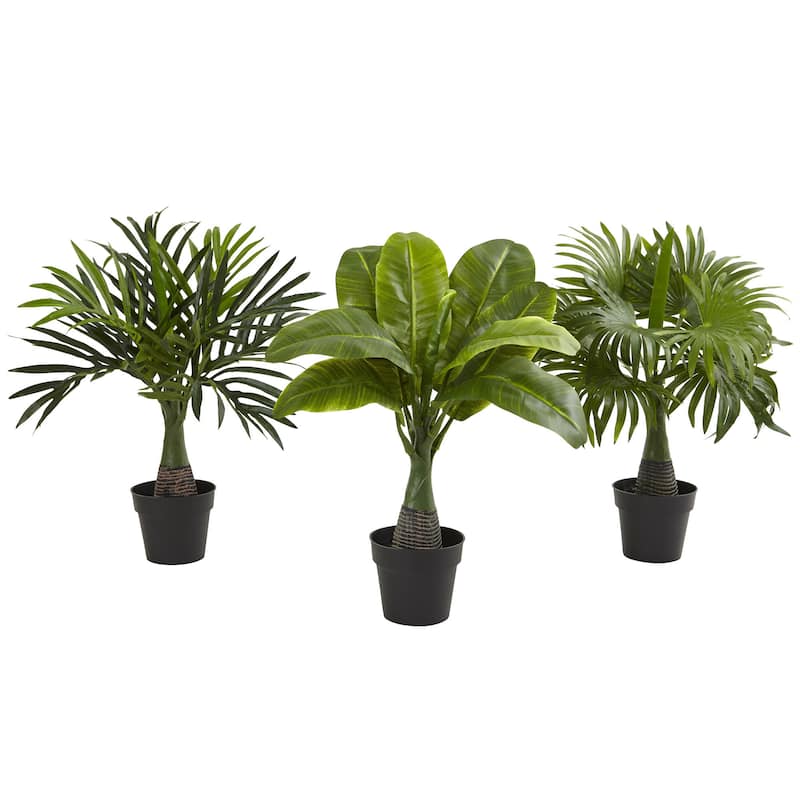 Areca, Fountain & Banana Palm (Set of 3) - Green