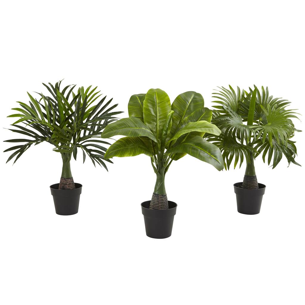 Areca, Fountain & Banana Palm (Set of 3) - Green