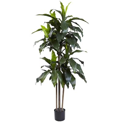 5-foot Dracaena Plant UV Resistant (Indoor/Outdoor)